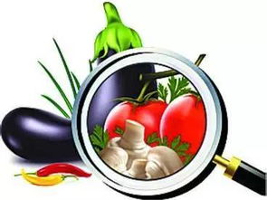 新規來了！5月1日起，平陽這樣管路邊攤玩具