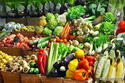 轉(zhuǎn)基因食品 全球禁令與科學(xué)爭(zhēng)議背后的真相